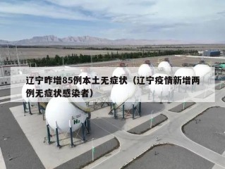 辽宁昨增85例本土无症状（辽宁疫情新增两例无症状感染者）
